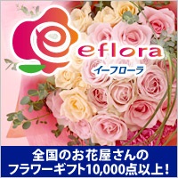 �C�[�t���[��